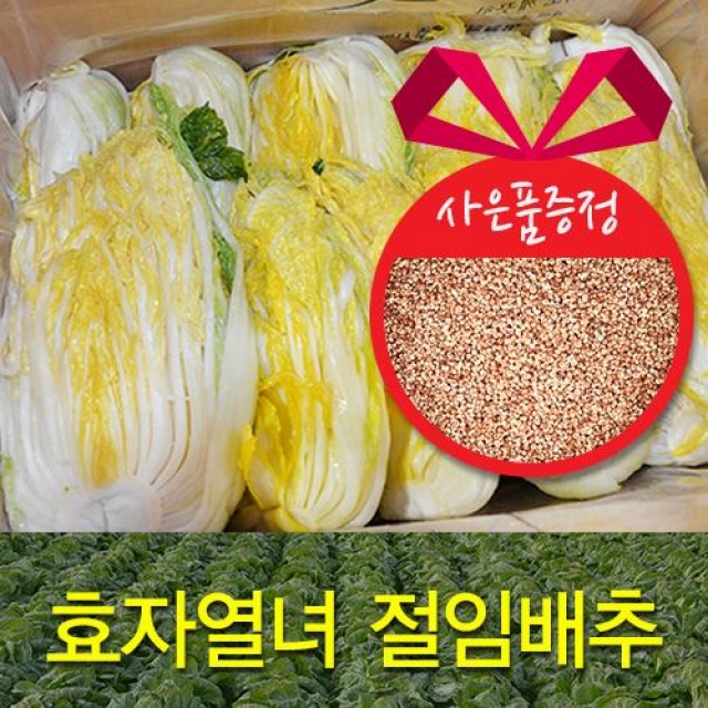 강원더몰,[예약판매] 효자열녀마을 절임배추 [20kg(9-10포기)]