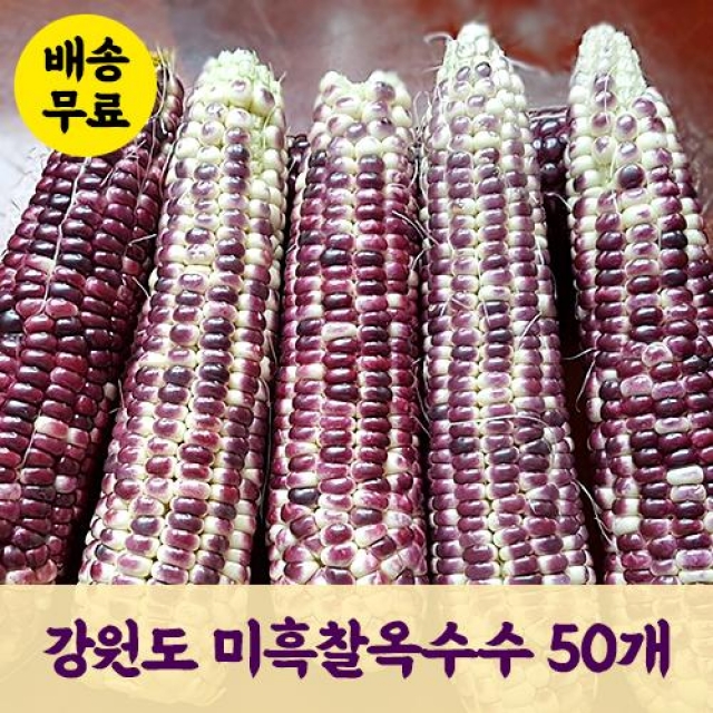 강원더몰,[예약판매] 영월 삼굿마을 미흑 찰옥수수 [50개]