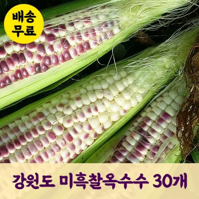 강원더몰,[예약판매] 영월 삼굿마을 미흑 찰옥수수 [30개]
