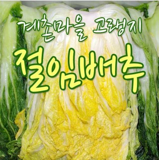 강원더몰,평창계촌클래식마을 고랭지 절임배추[20kg(8~12포기)]