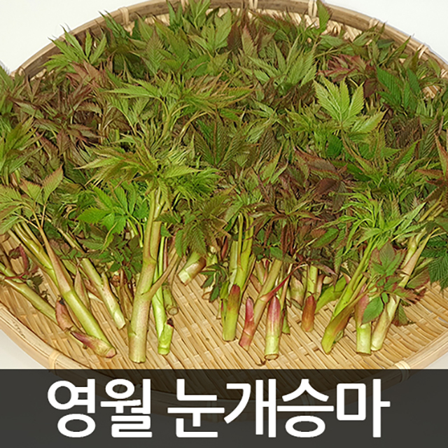 강원더몰,[예약판매]영월 눈개승마(삼나물) [2kg]
