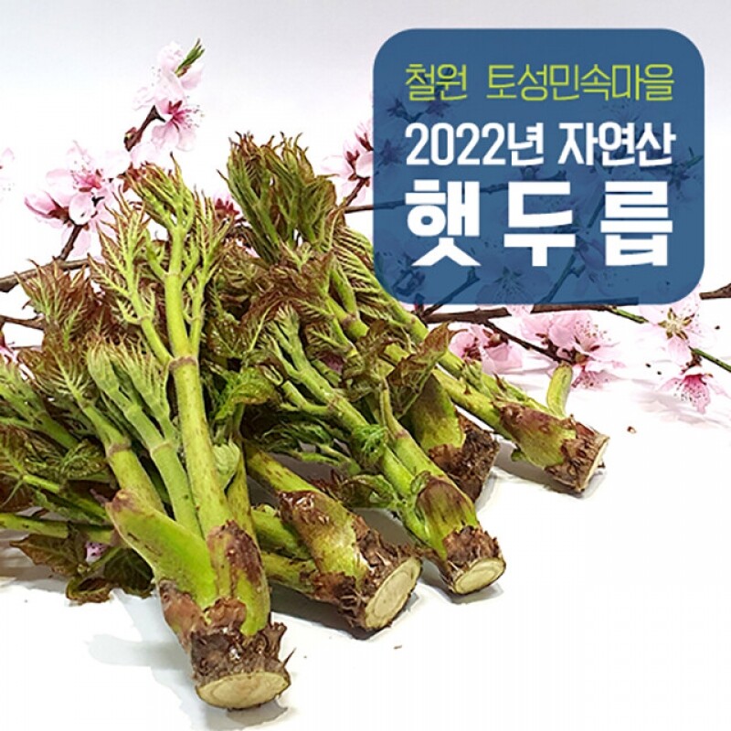 강원더몰,(예약판매) 토성 자연산 산두릅 1kg