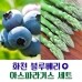 썸네일(스크롤)