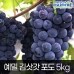 썸네일(스크롤)