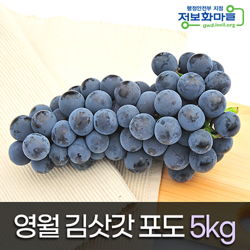 강원더몰,[선물용]영월 김삿갓포도 (캠벨) [5kg 9~11송이]