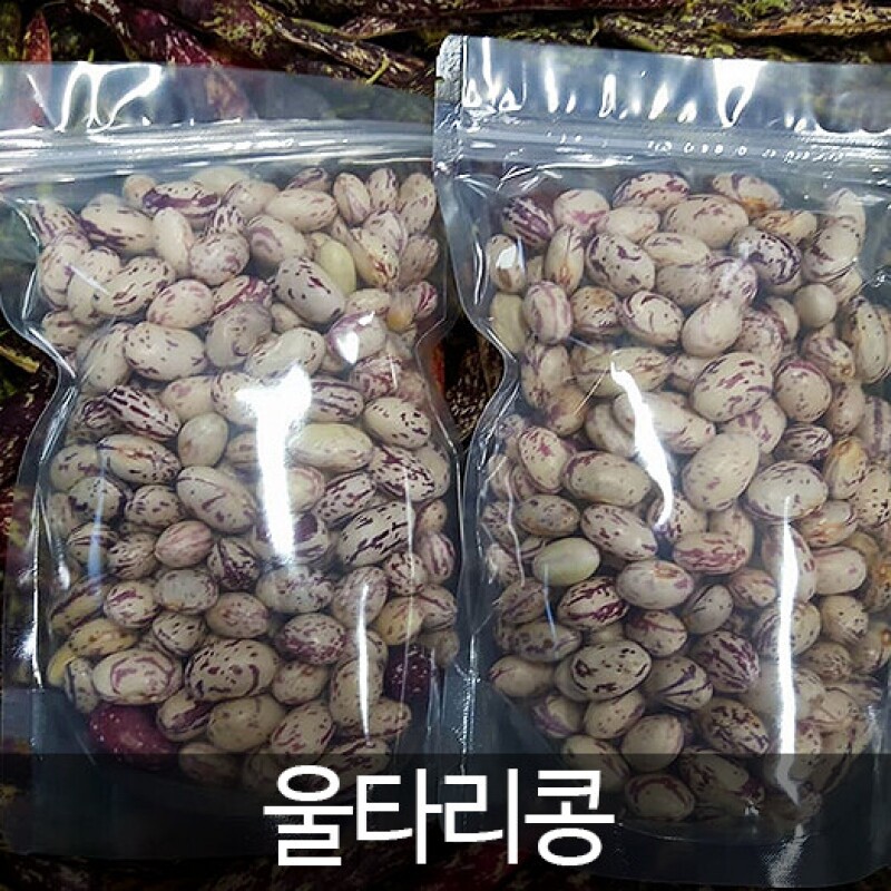 강원더몰,홍천 삼생마을 울타리콩(생콩) [400g*2 / 400g*4]