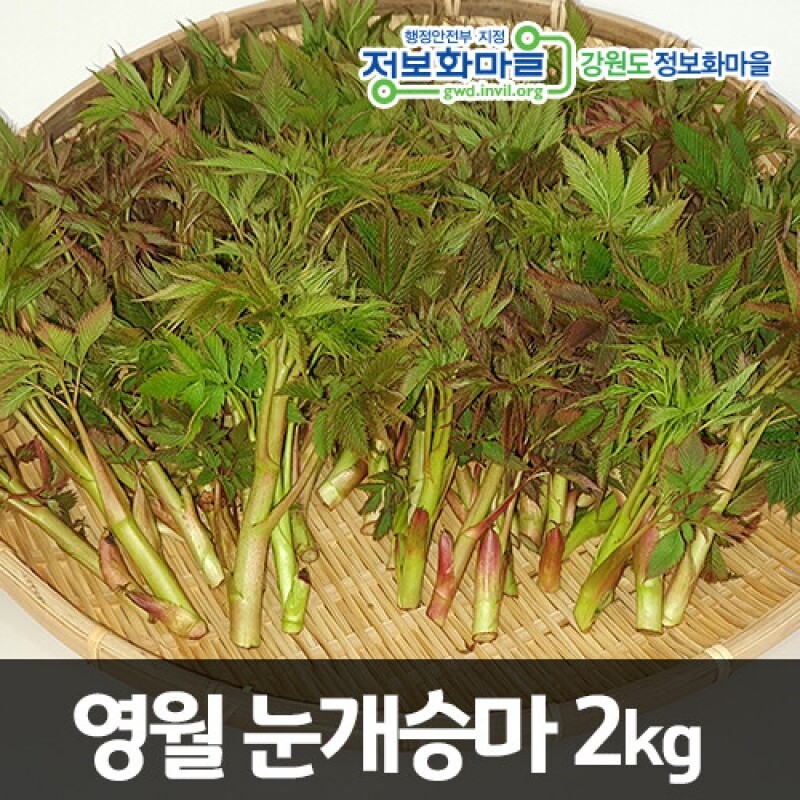 강원더몰,[예약판매]영월 눈개승마(삼나물) [2kg]