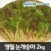 썸네일(스크롤)